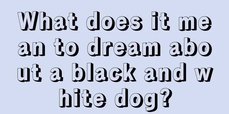 What does it mean to dream about a black and white dog?