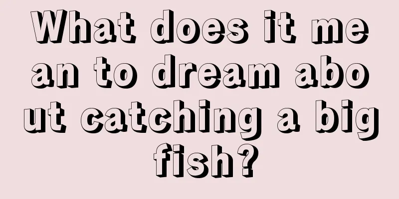 What does it mean to dream about catching a big fish?