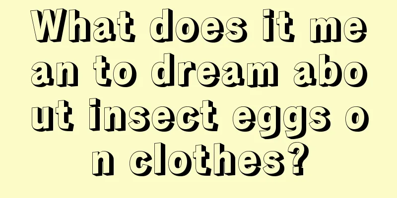 What does it mean to dream about insect eggs on clothes?