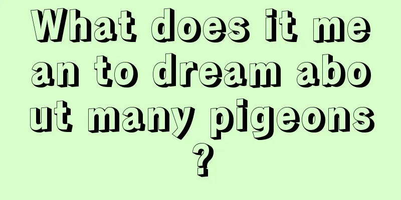 What does it mean to dream about many pigeons?