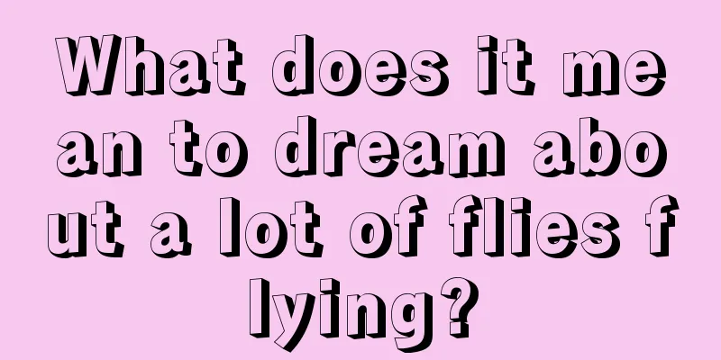 What does it mean to dream about a lot of flies flying?