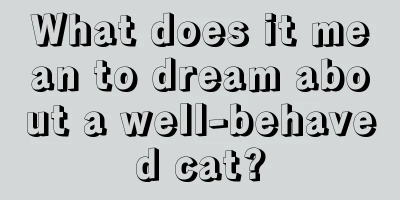 What does it mean to dream about a well-behaved cat?