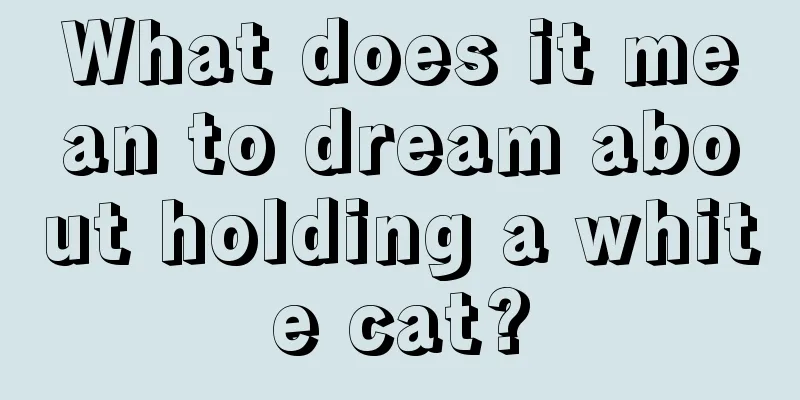 What does it mean to dream about holding a white cat?