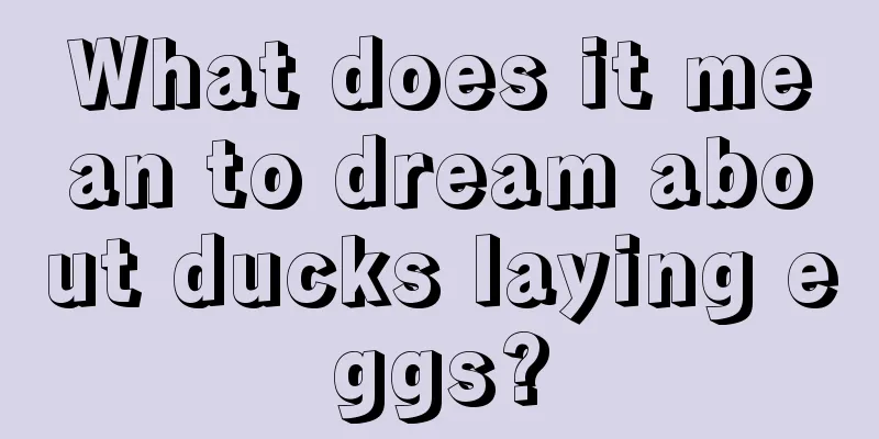 What does it mean to dream about ducks laying eggs?