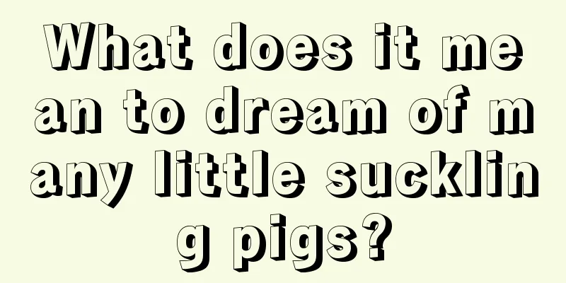 What does it mean to dream of many little suckling pigs?