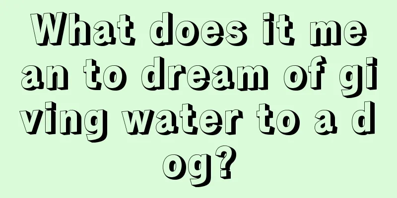 What does it mean to dream of giving water to a dog?