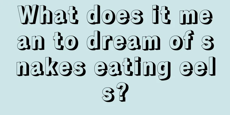 What does it mean to dream of snakes eating eels?