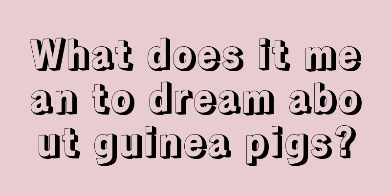 What does it mean to dream about guinea pigs?