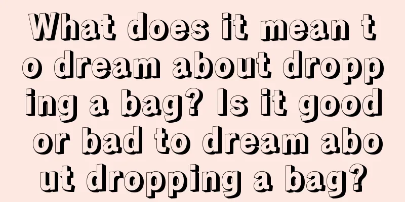 What does it mean to dream about dropping a bag? Is it good or bad to dream about dropping a bag?