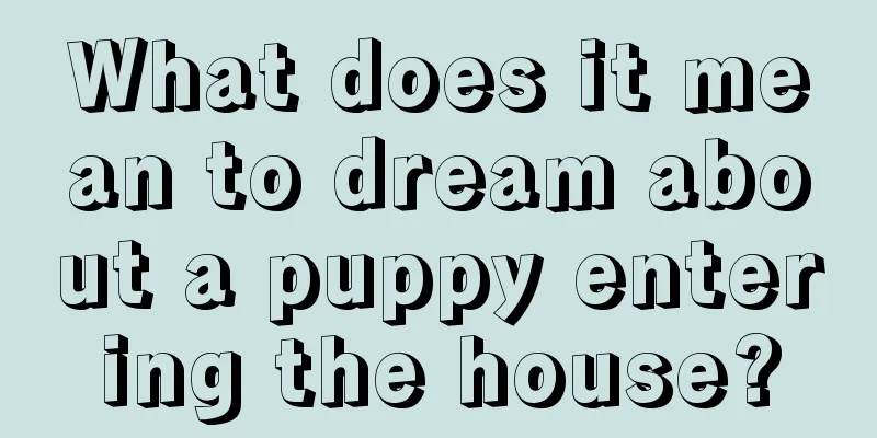 What does it mean to dream about a puppy entering the house?