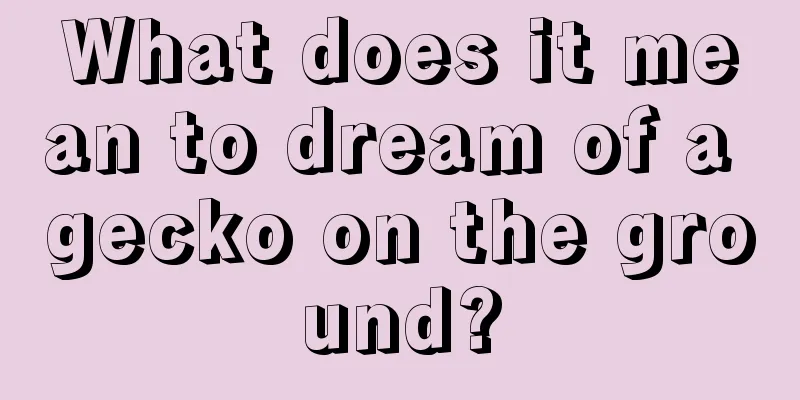 What does it mean to dream of a gecko on the ground?