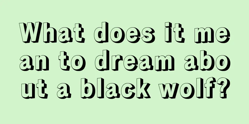 What does it mean to dream about a black wolf?