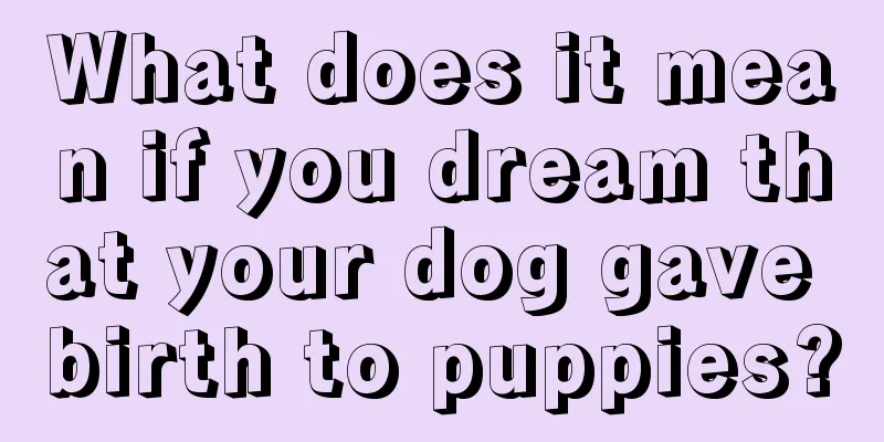 What does it mean if you dream that your dog gave birth to puppies?