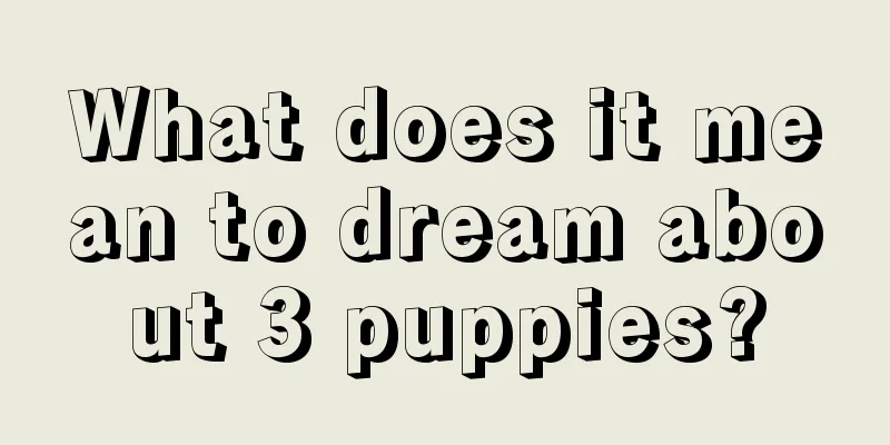 What does it mean to dream about 3 puppies?