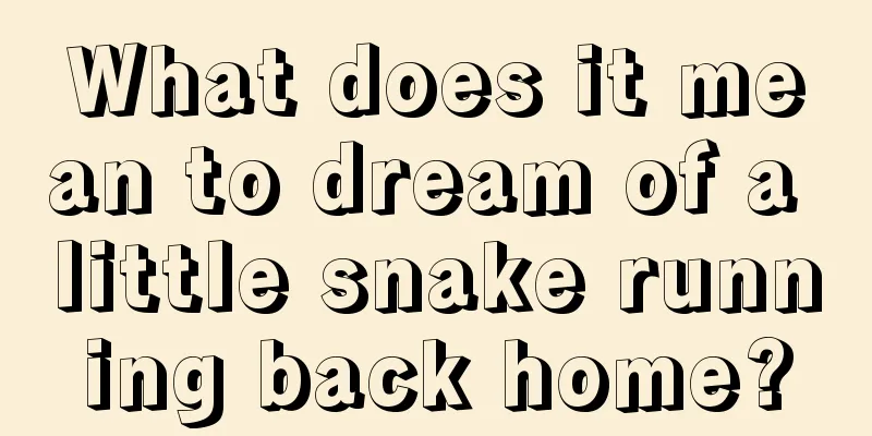 What does it mean to dream of a little snake running back home?