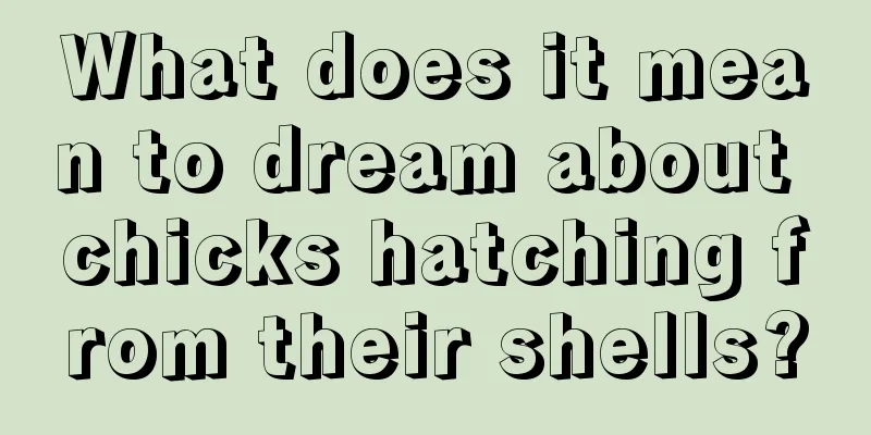 What does it mean to dream about chicks hatching from their shells?