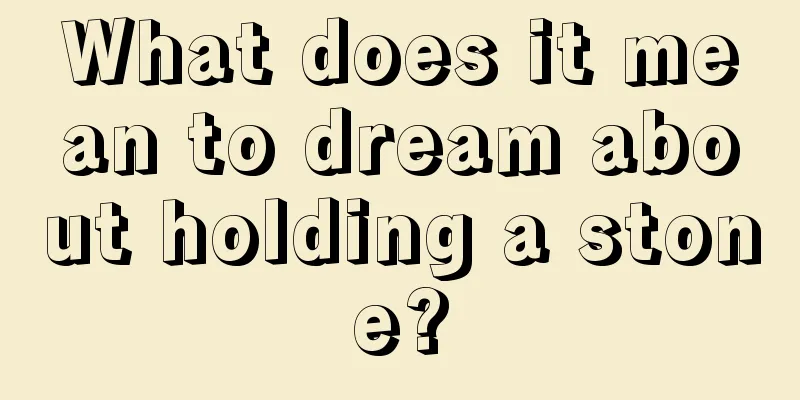 What does it mean to dream about holding a stone?