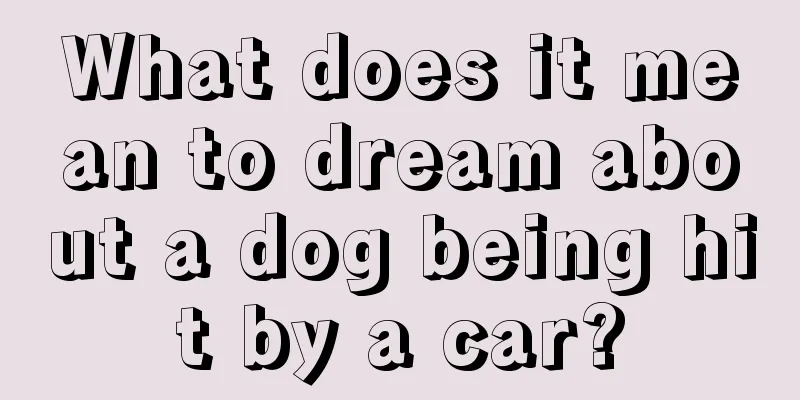 What does it mean to dream about a dog being hit by a car?