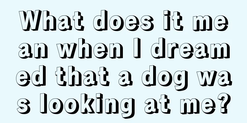 What does it mean when I dreamed that a dog was looking at me?