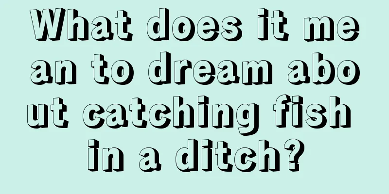 What does it mean to dream about catching fish in a ditch?