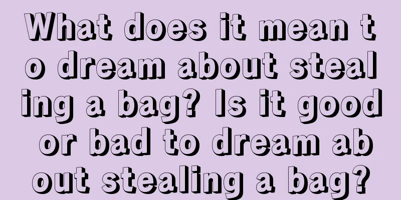 What does it mean to dream about stealing a bag? Is it good or bad to dream about stealing a bag?