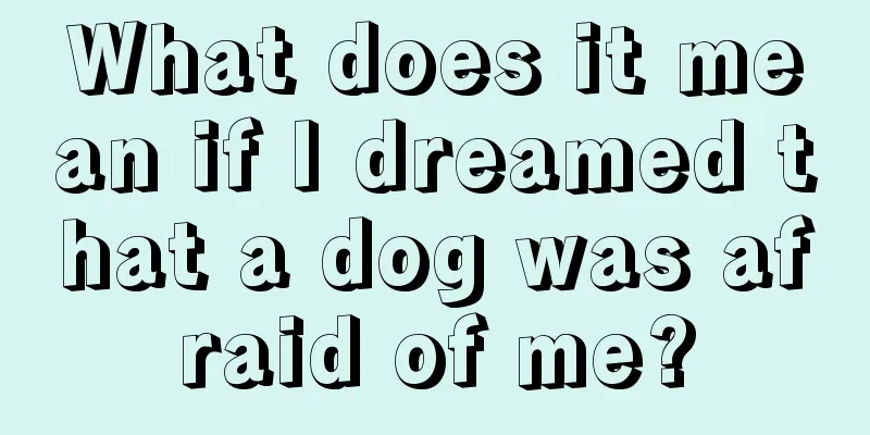 What does it mean if I dreamed that a dog was afraid of me?