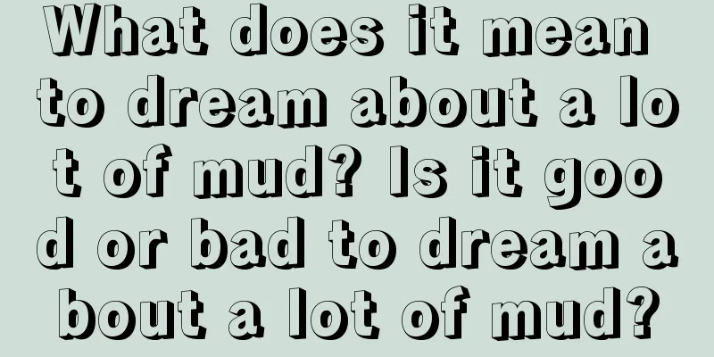 What does it mean to dream about a lot of mud? Is it good or bad to dream about a lot of mud?