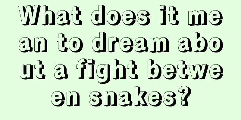 What does it mean to dream about a fight between snakes?