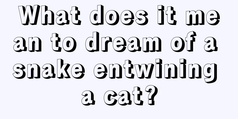 What does it mean to dream of a snake entwining a cat?