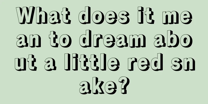 What does it mean to dream about a little red snake?