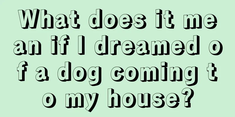 What does it mean if I dreamed of a dog coming to my house?