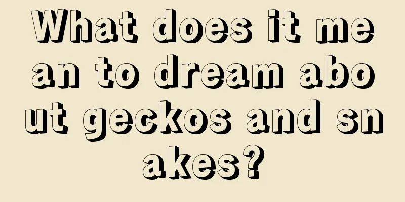 What does it mean to dream about geckos and snakes?