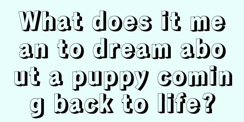 What does it mean to dream about a puppy coming back to life?