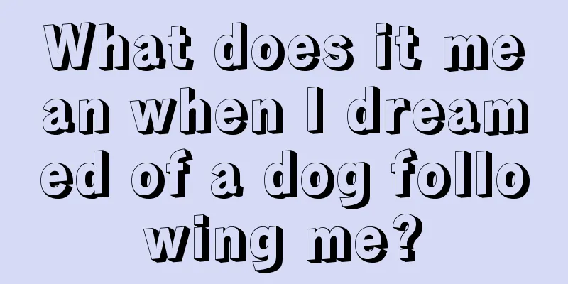 What does it mean when I dreamed of a dog following me?