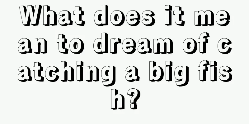 What does it mean to dream of catching a big fish?