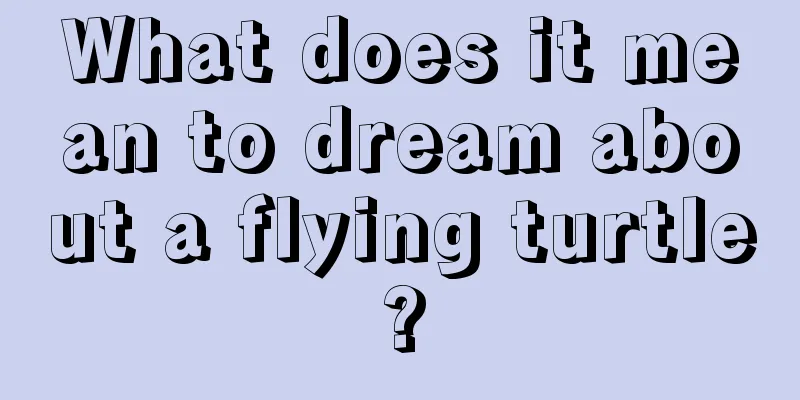 What does it mean to dream about a flying turtle?