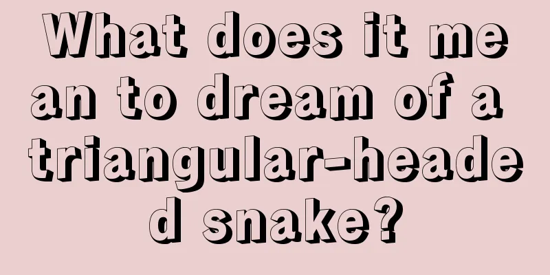 What does it mean to dream of a triangular-headed snake?