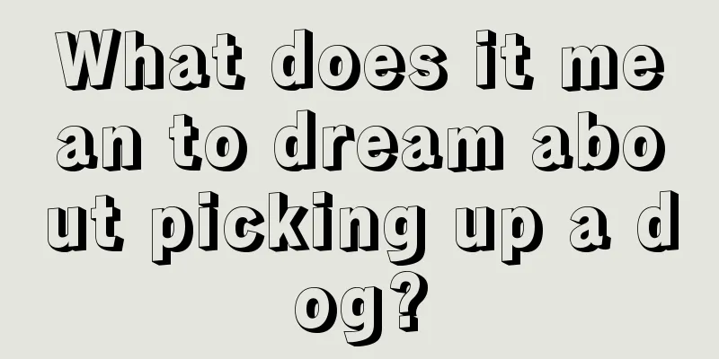 What does it mean to dream about picking up a dog?