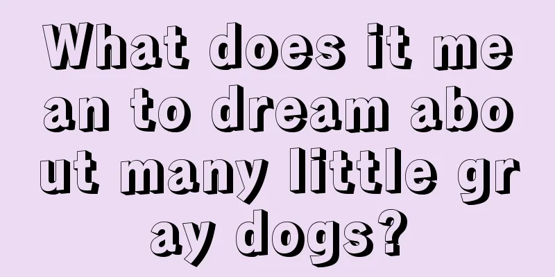 What does it mean to dream about many little gray dogs?