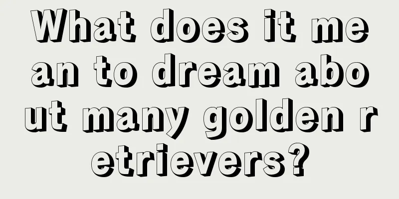 What does it mean to dream about many golden retrievers?