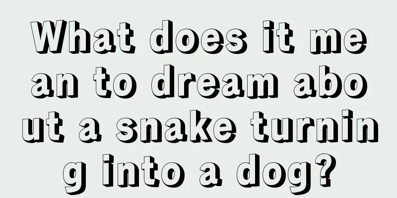 What does it mean to dream about a snake turning into a dog?