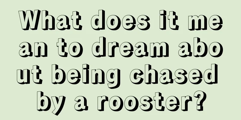 What does it mean to dream about being chased by a rooster?