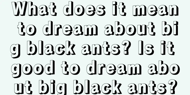 What does it mean to dream about big black ants? Is it good to dream about big black ants?