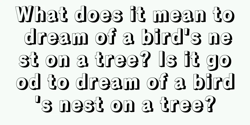 What does it mean to dream of a bird's nest on a tree? Is it good to dream of a bird's nest on a tree?