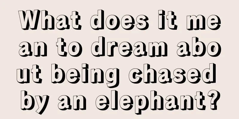 What does it mean to dream about being chased by an elephant?