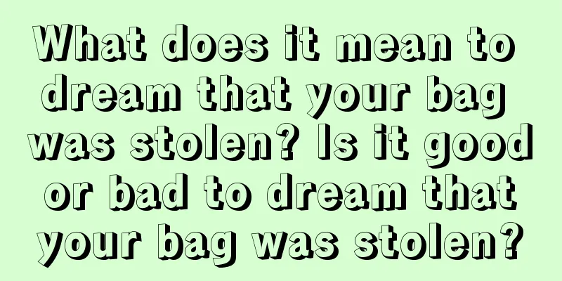 What does it mean to dream that your bag was stolen? Is it good or bad to dream that your bag was stolen?