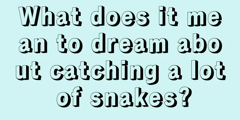 What does it mean to dream about catching a lot of snakes?