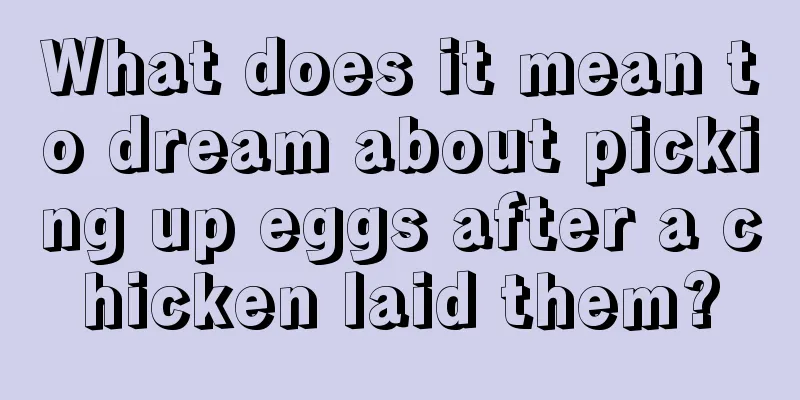 What does it mean to dream about picking up eggs after a chicken laid them?