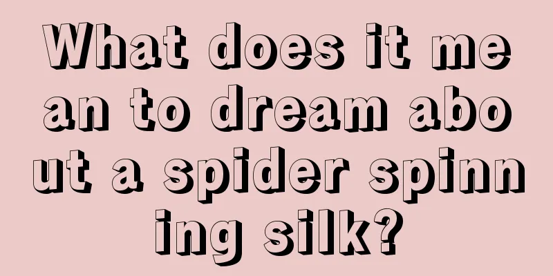 What does it mean to dream about a spider spinning silk?