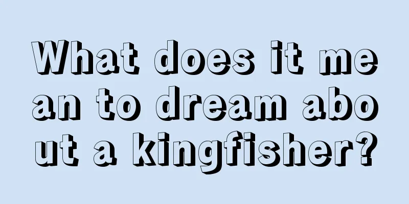 What does it mean to dream about a kingfisher?